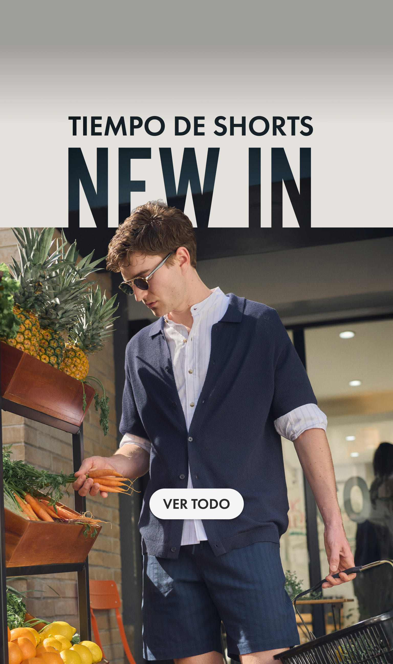 nueva colecci&oacute;n en c&a