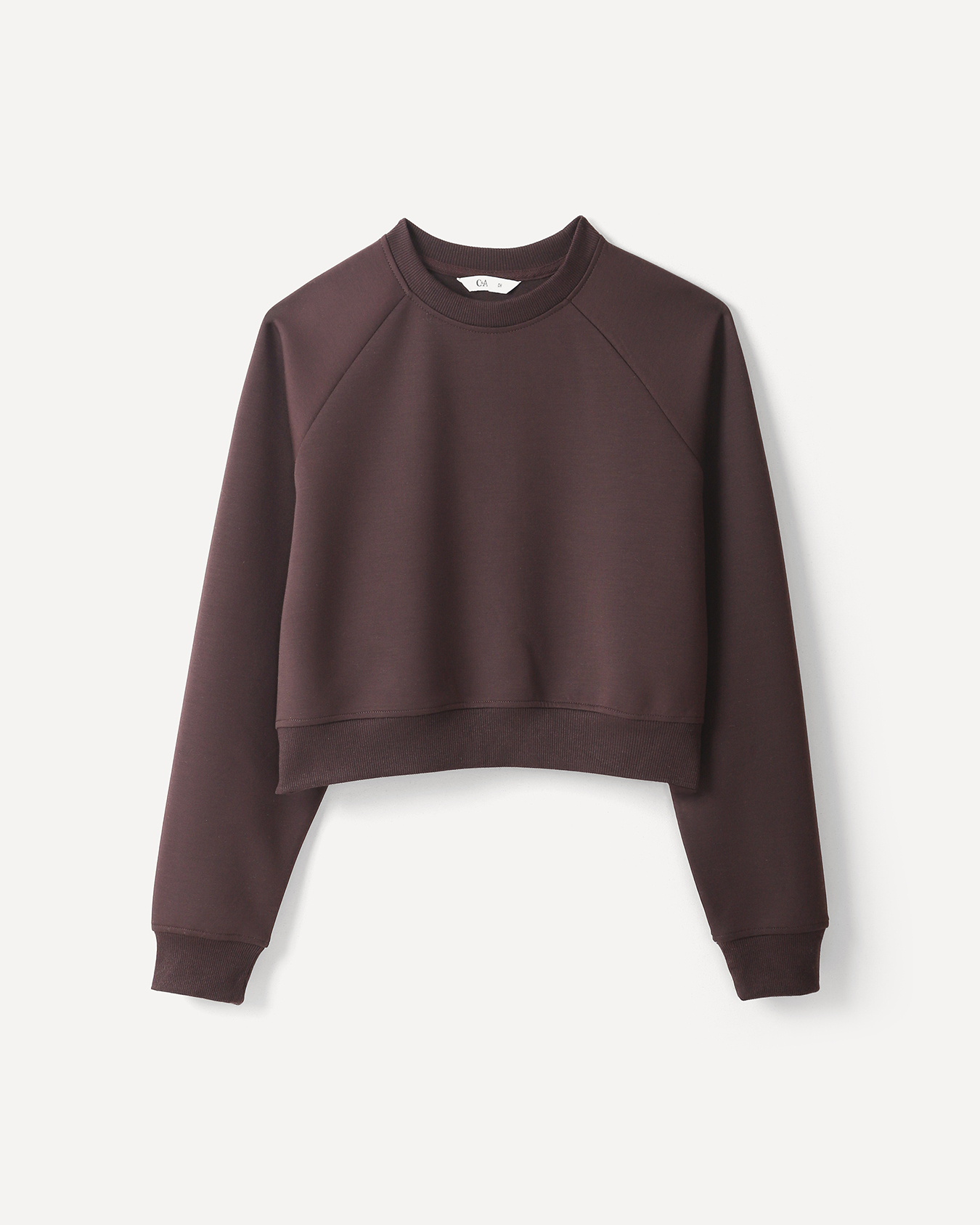 , MORADO, large