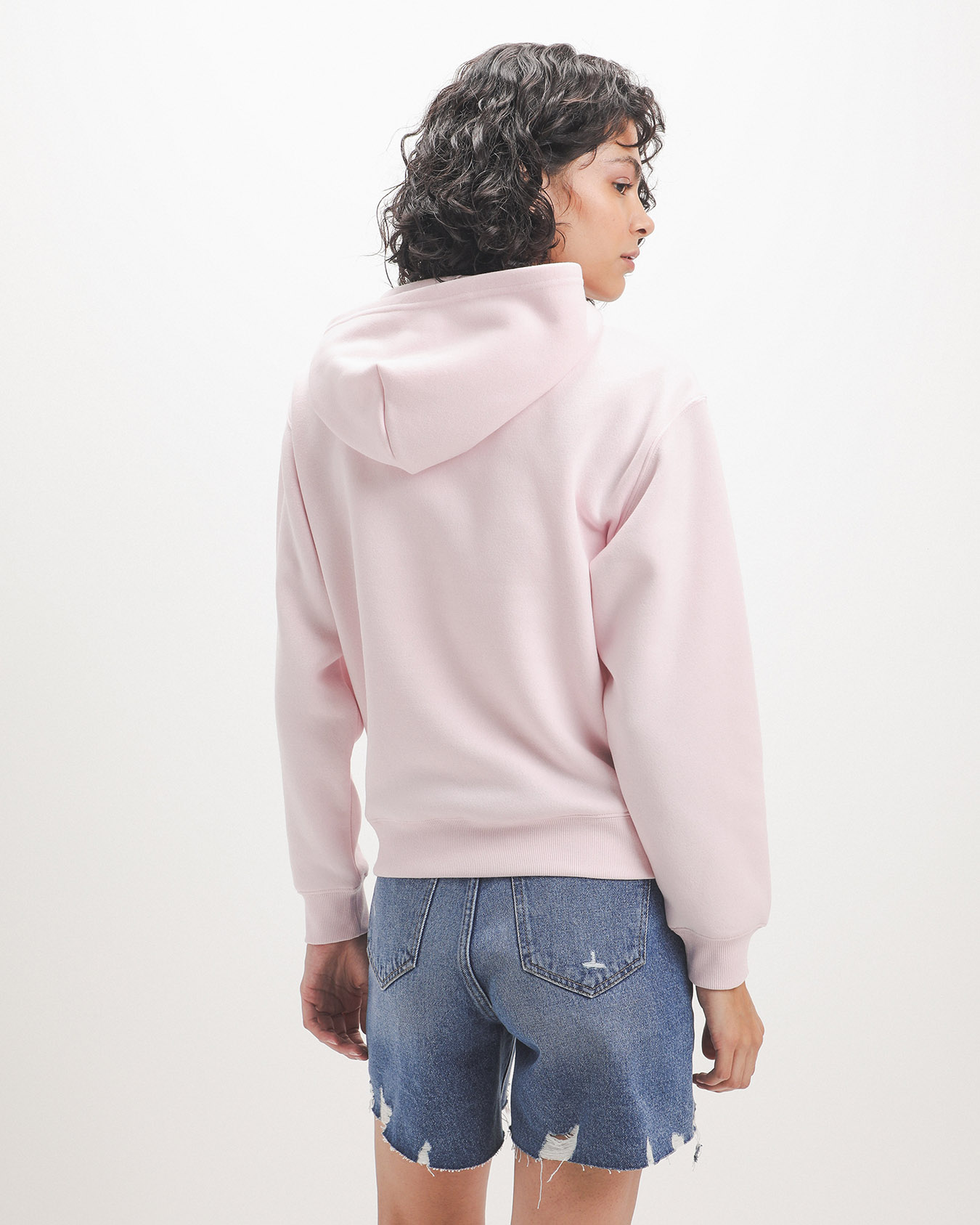 , ROSA, large