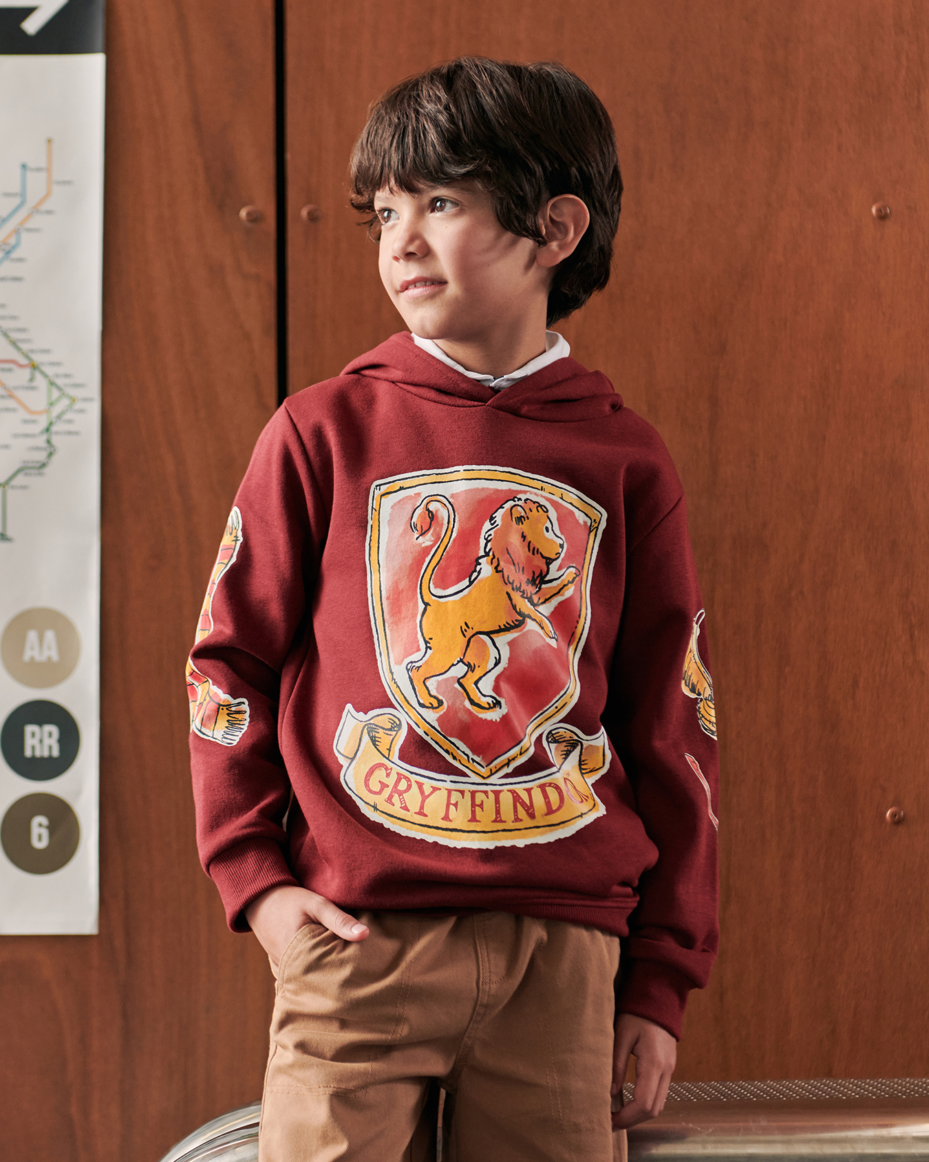 Sudadera Hoodie Harry Potter