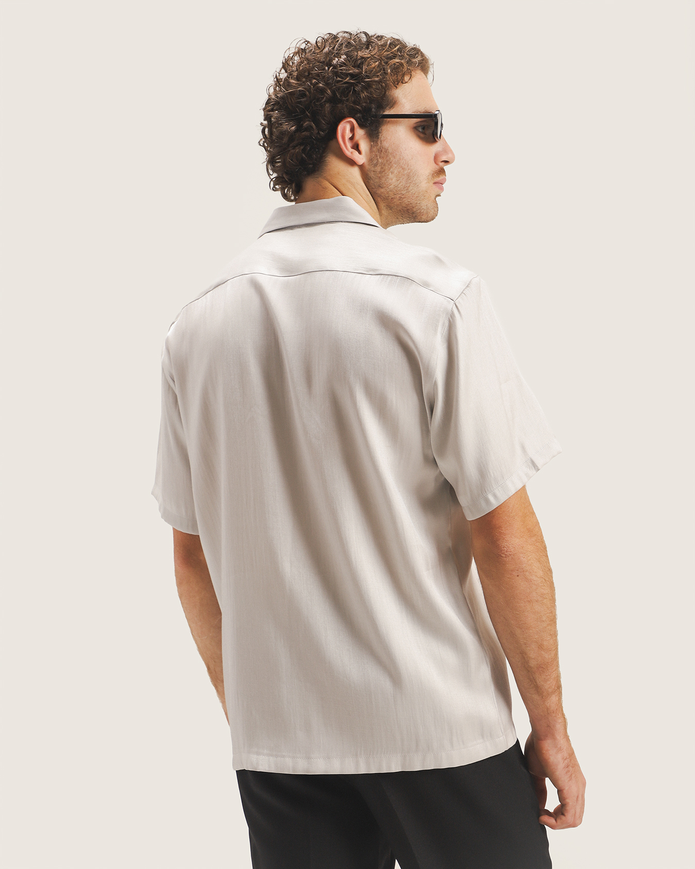 , PLATEADO P1, large