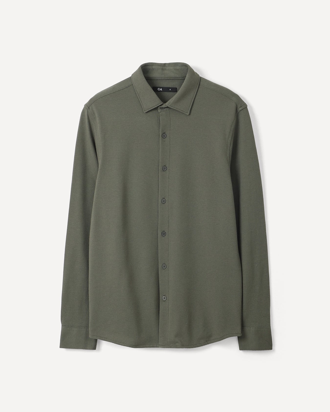 , OLIVO, large