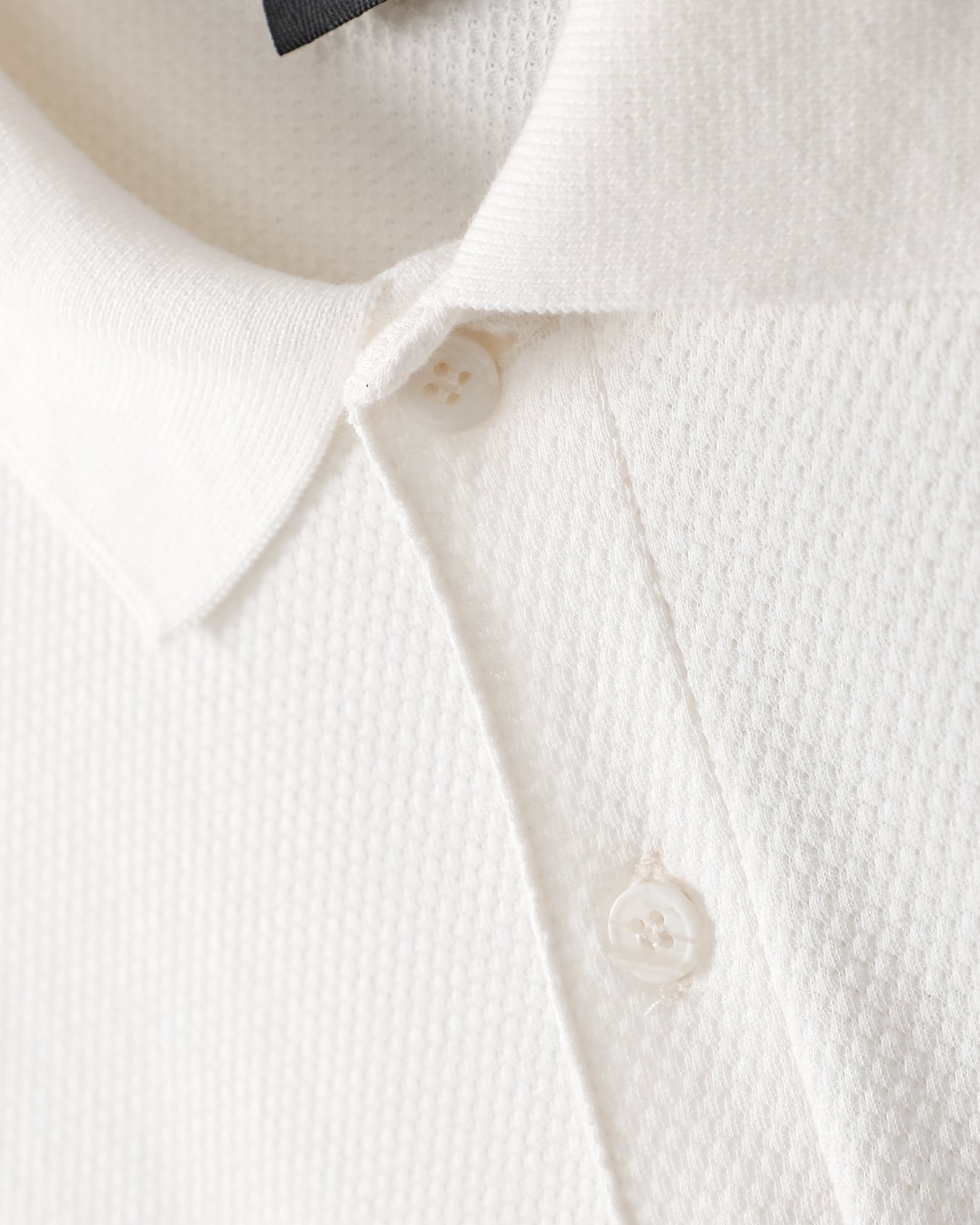 , BLANCO HUESO, large