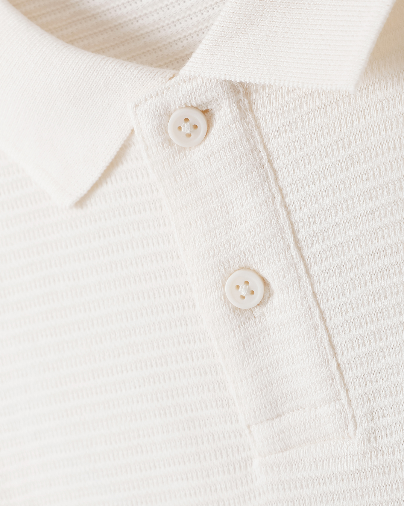 , BLANCO HUESO, large