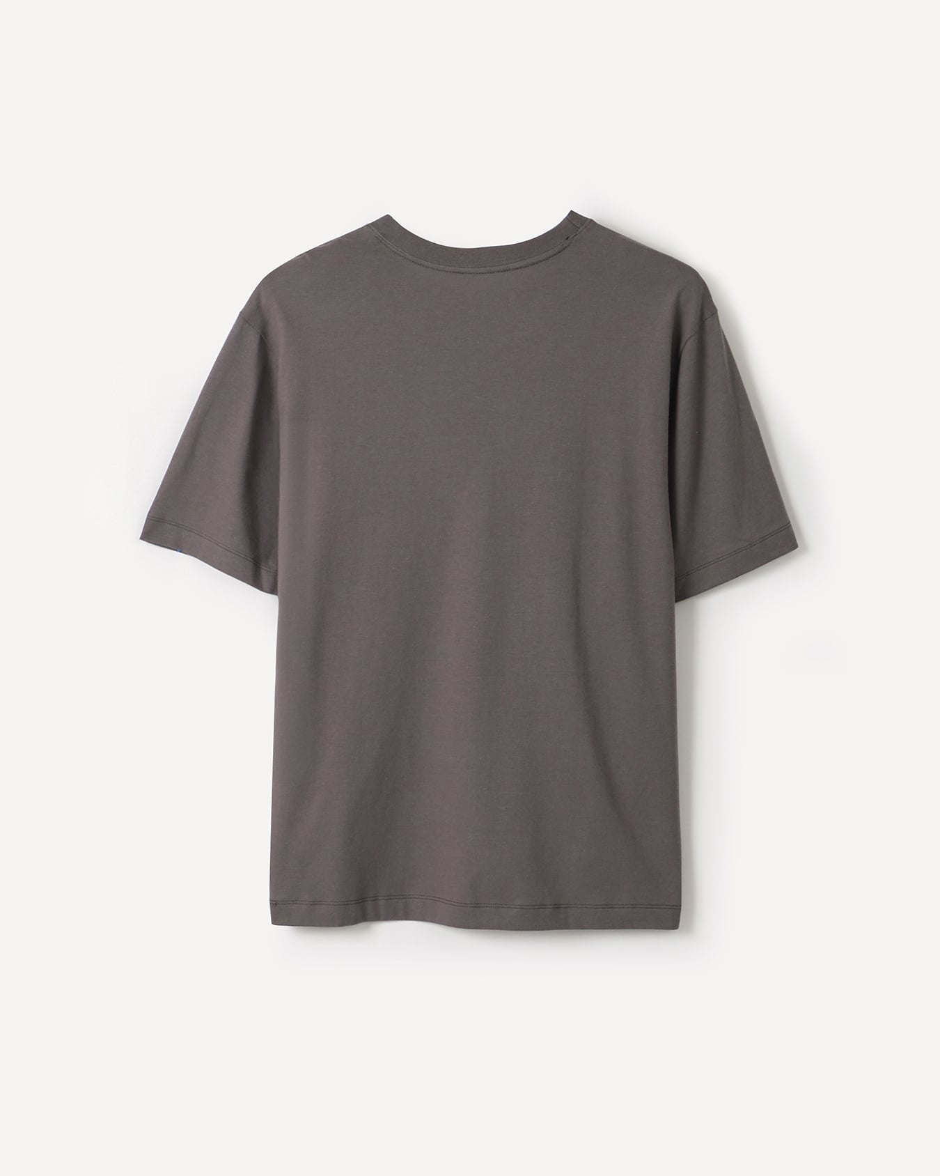 , GRIS, large