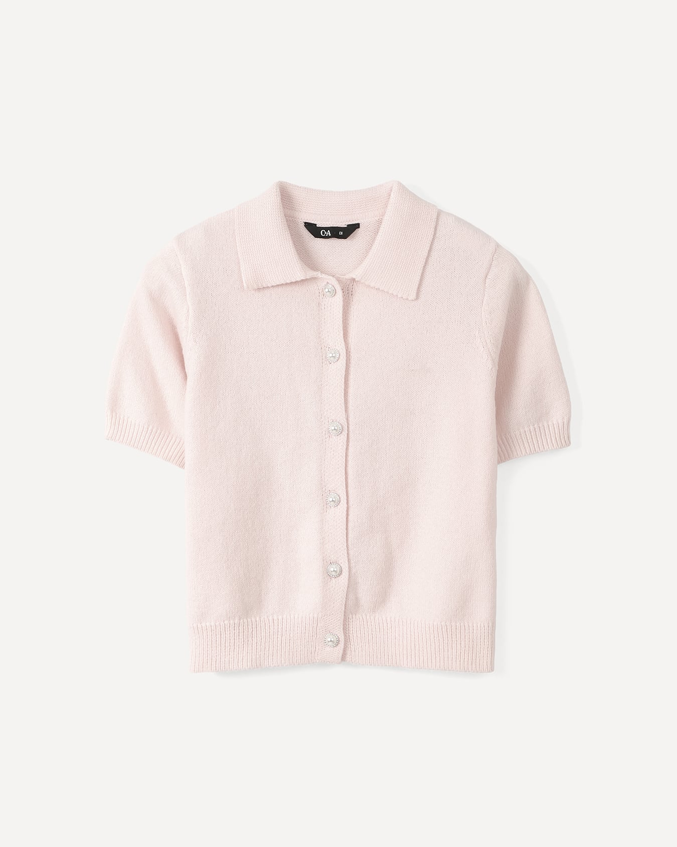 , ROSA PALIDO, large