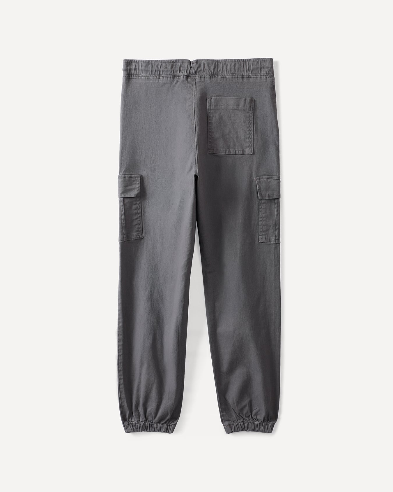 , GRIS, large