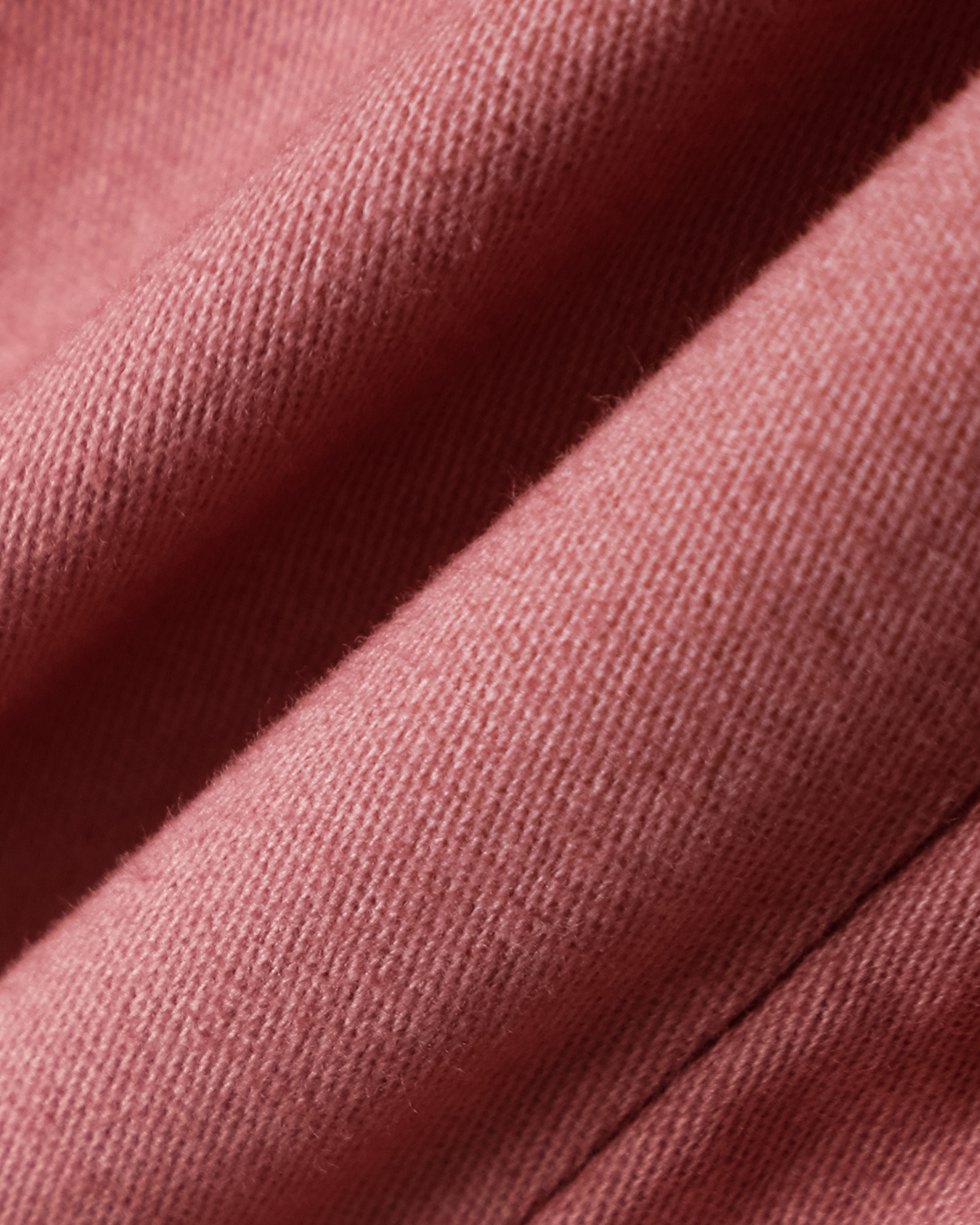 , ROSA, large