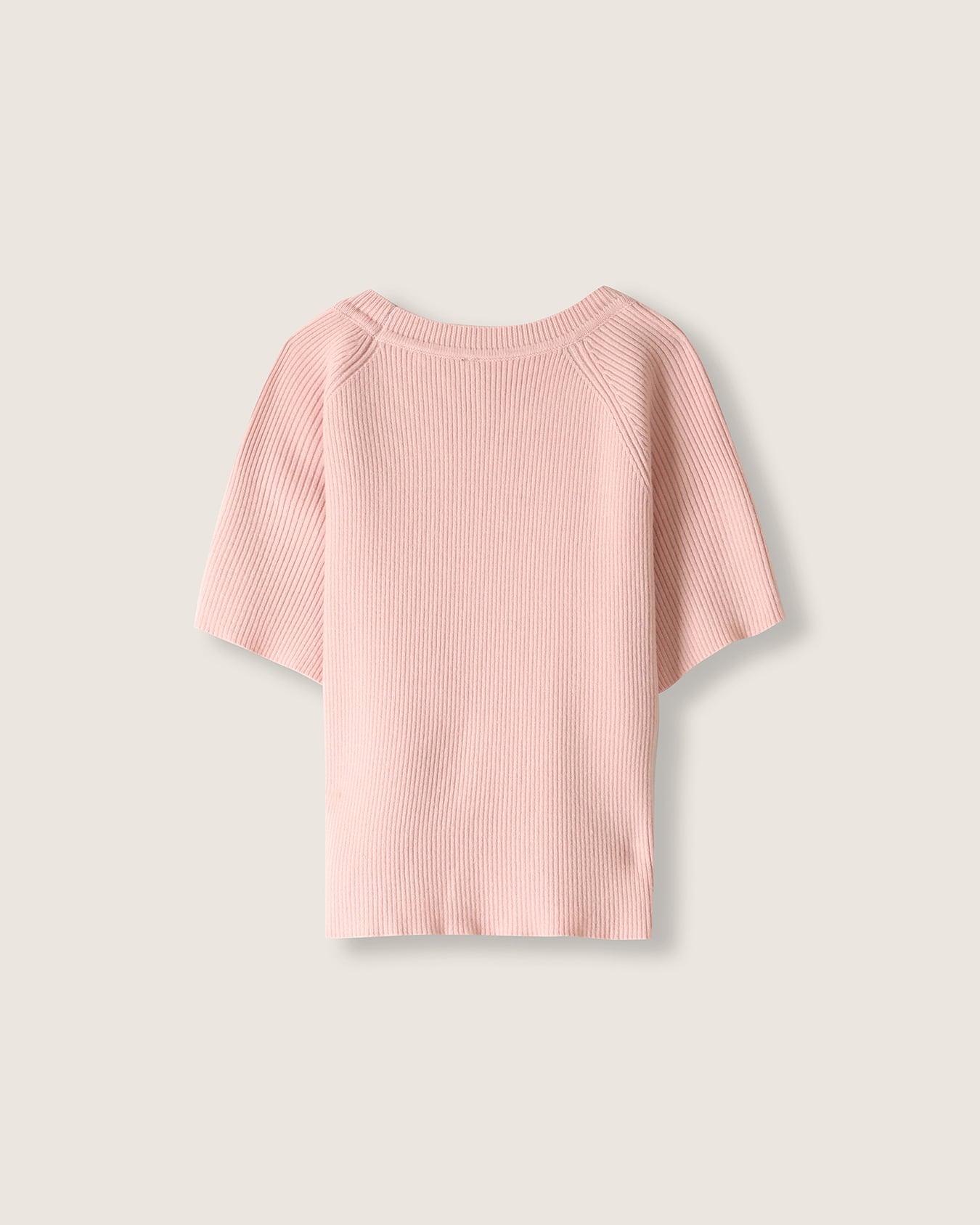 , ROSA PALIDO, large