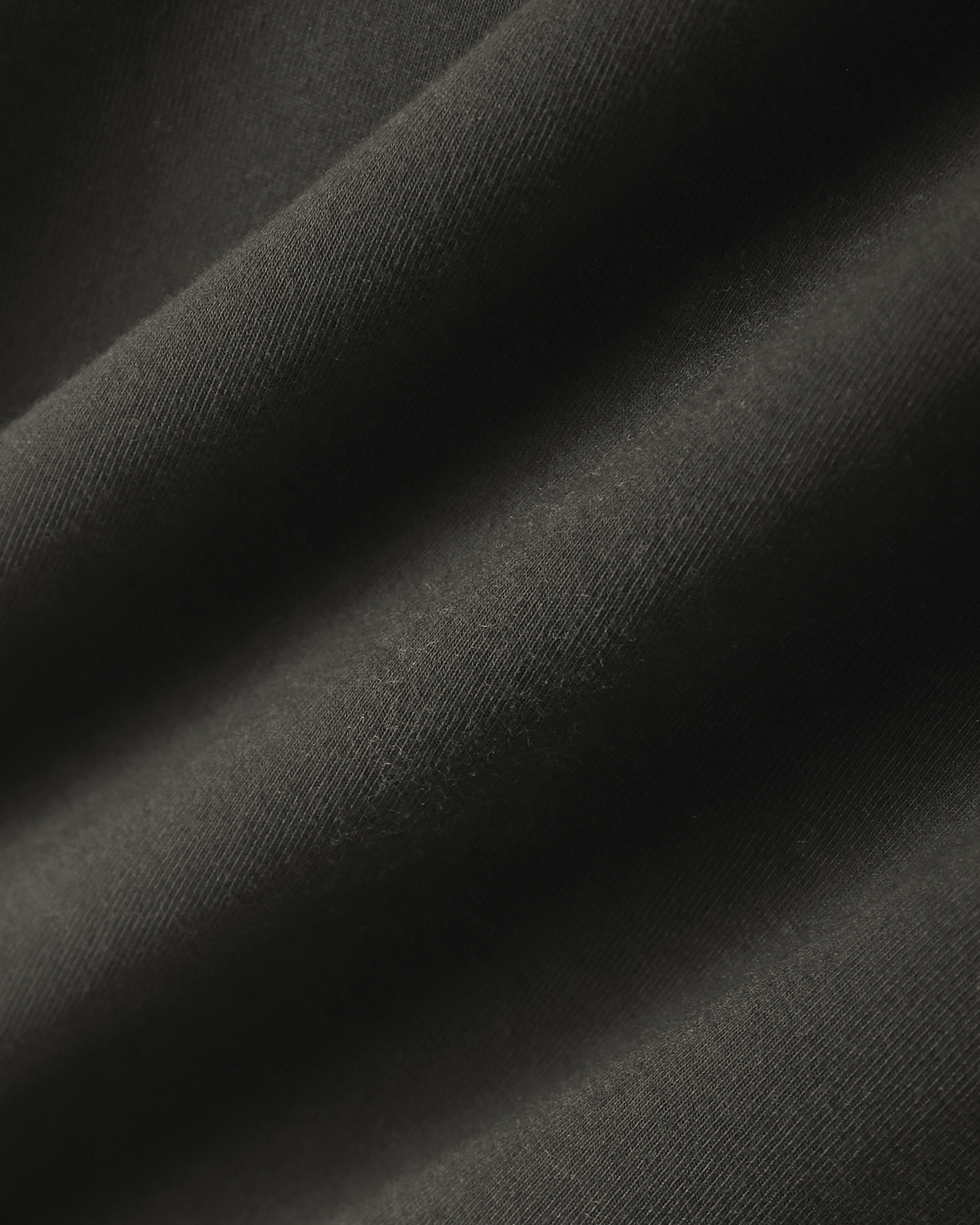 , OLIVO OBSCURO, large