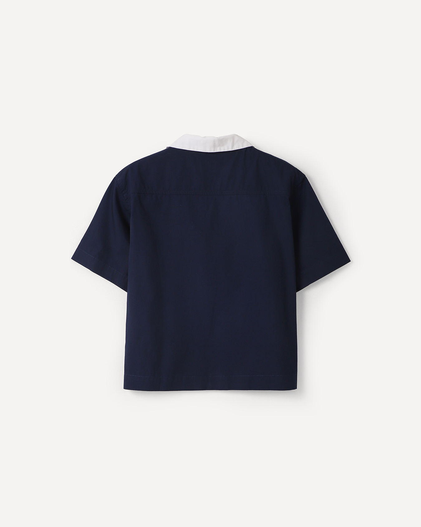 , AZUL P1, large