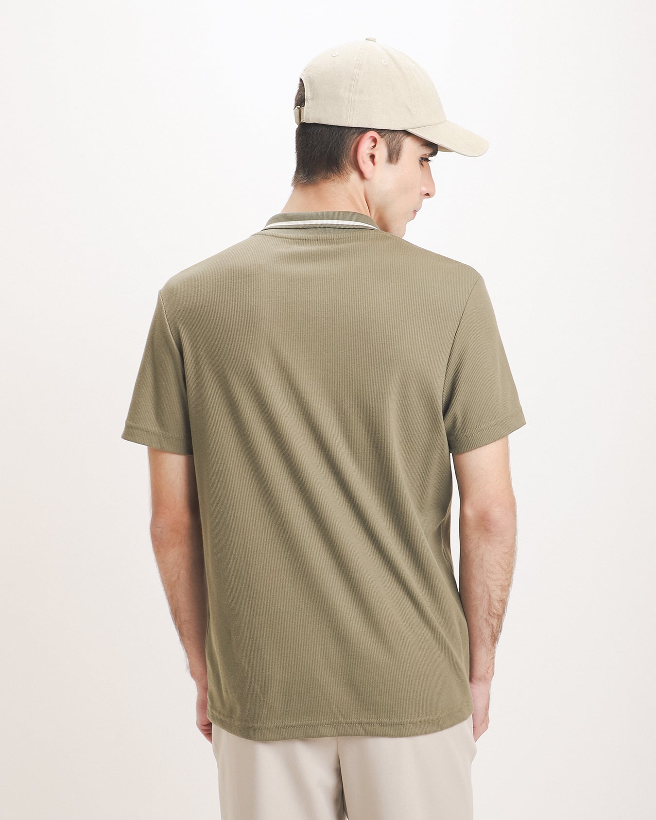 , OLIVO MEDIO, large