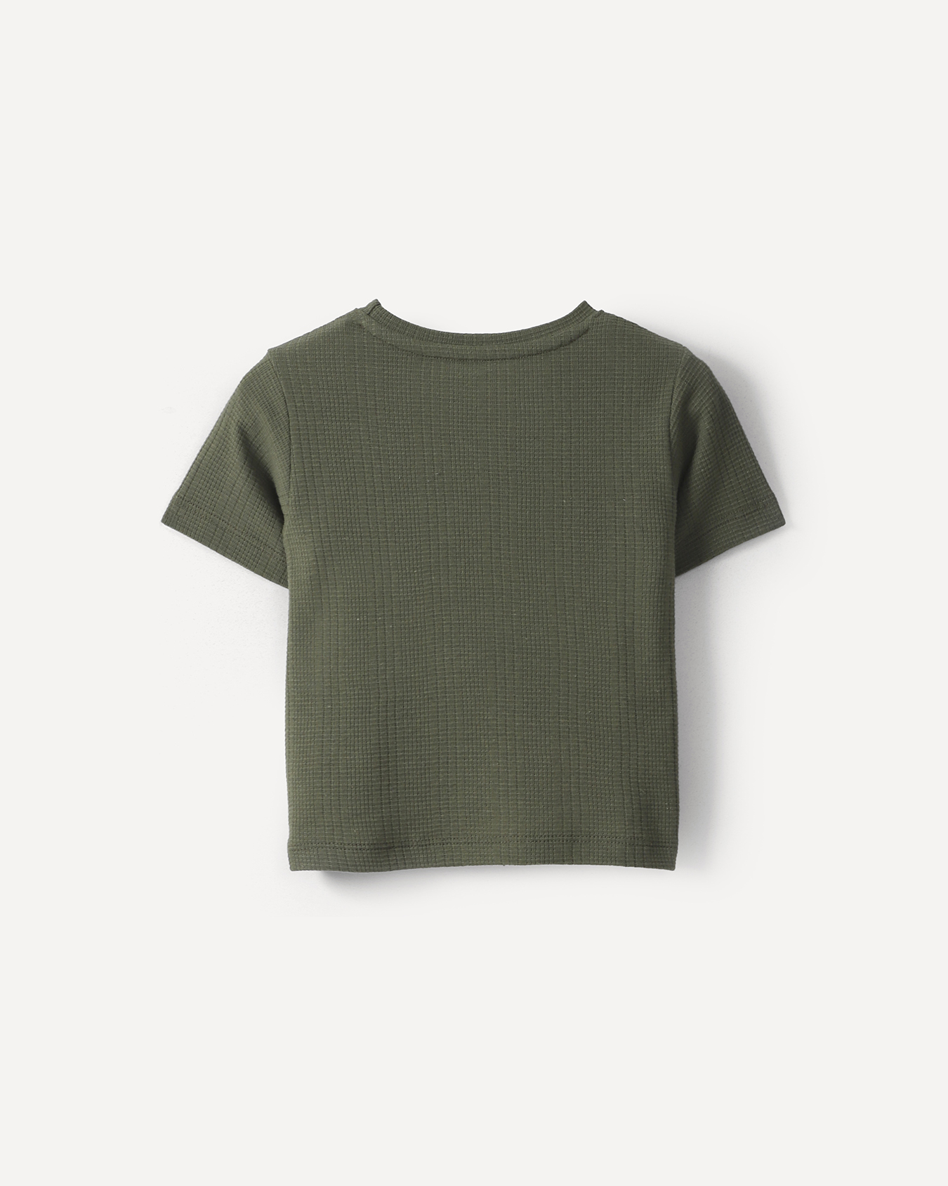 , VERDE CACTUS, large