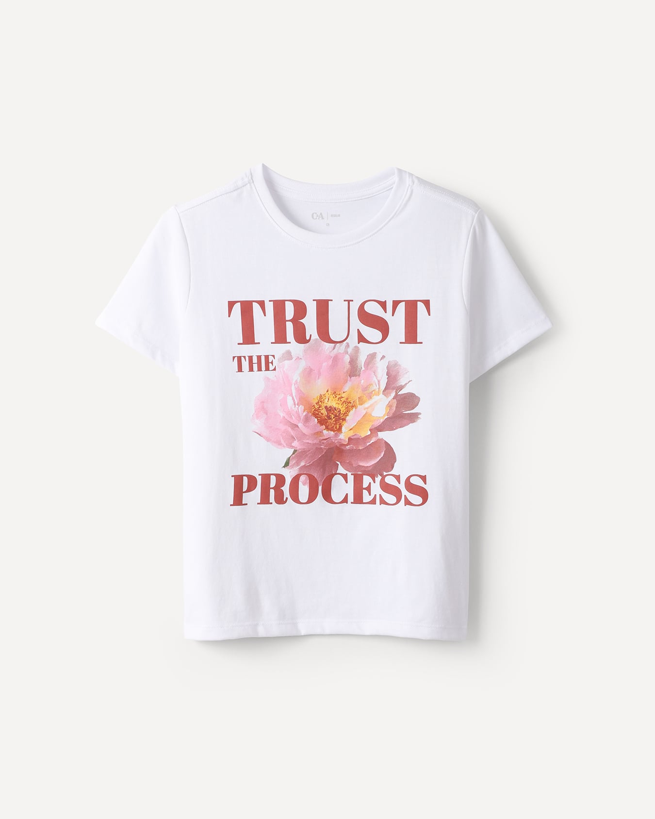 , BLANCO P1, large