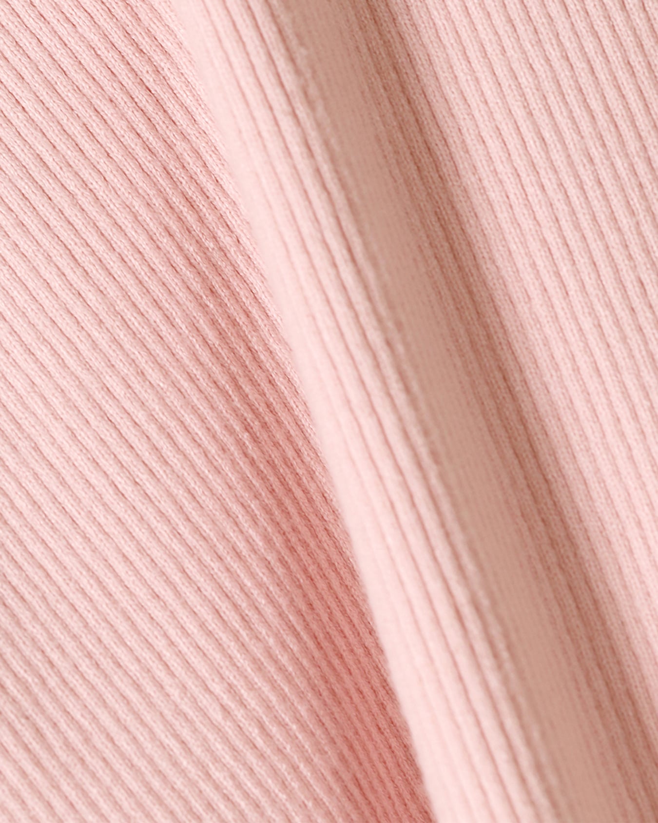 , ROSA PALIDO, large