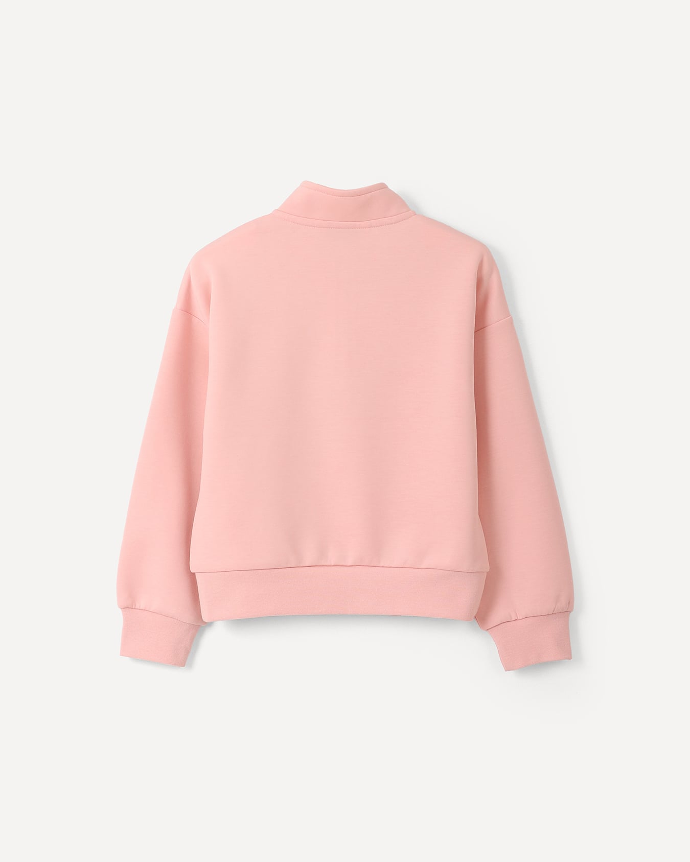, ROSA, large